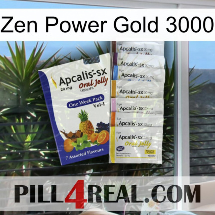 Zen Power Gold 3000 11